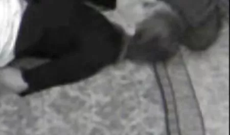 मैंने सेक्सी मूवी फुल हिंदी खुद को एक पड़ोसी को दे दिया।